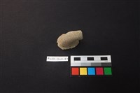 藏品(陶片)的圖片