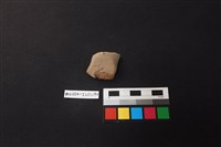 藏品(陶片)的圖片