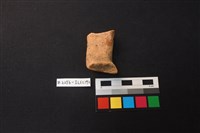 藏品(陶片)的圖片