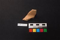 藏品(陶片)的圖片