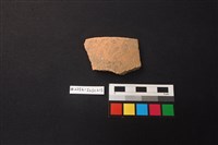 藏品(陶片)的圖片