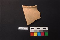 藏品(陶片)的圖片