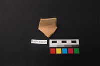 藏品(陶片)的圖片