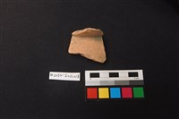 藏品(陶片)的圖片