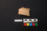 藏品(陶片)的圖片