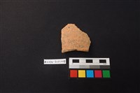 藏品(陶片)的圖片