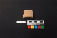 藏品(陶片)的圖片