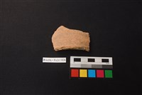 藏品(陶片)的圖片