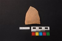 藏品(陶片)的圖片