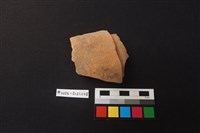 藏品(陶片)的圖片