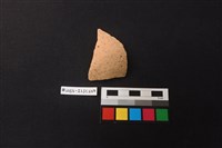 藏品(陶片)的圖片