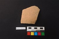 藏品(陶片)的圖片