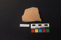 藏品(陶片)的圖片