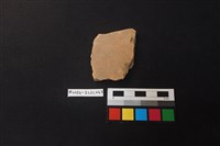 藏品(陶片)的圖片