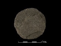 藏品(帶加工痕石材)的圖片