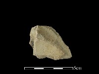 藏品(石材)的圖片