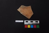 藏品(陶片)的圖片