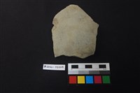 藏品(陶片)的圖片