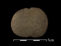 藏品(網墜)的圖片