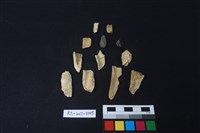 藏品(獸骨)的圖片