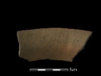 藏品(陶片)的圖片