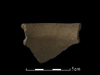 藏品(陶片)的圖片