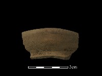 藏品(陶片)的圖片