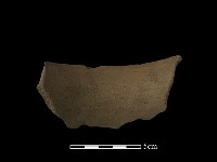 藏品(陶片)的圖片