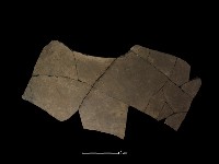 藏品(陶片)的圖片