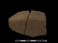 藏品(陶片)的圖片