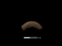 藏品(陶耳)的圖片