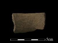 藏品(陶片)的圖片