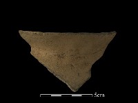 藏品(陶片)的圖片