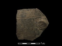 藏品(陶片)的圖片