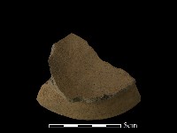 藏品(陶片)的圖片