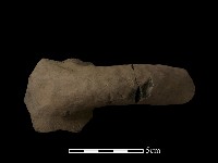 藏品(陶把)的圖片