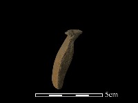 藏品(陶片)的圖片