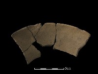 藏品(陶片)的圖片