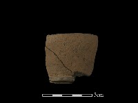 藏品(陶片)的圖片