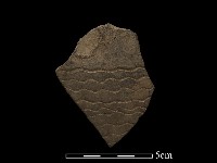 藏品(陶片)的圖片