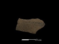 藏品(陶片)的圖片