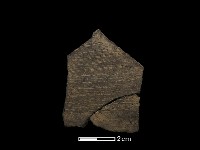 藏品(陶片)的圖片