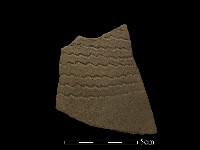 藏品(陶片)的圖片