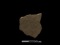 藏品(陶片)的圖片