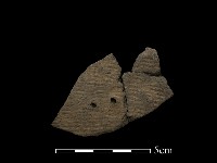 藏品(陶片)的圖片