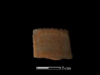 藏品(陶片)的圖片