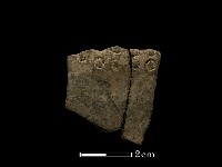 藏品(陶片)的圖片