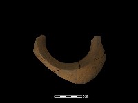 藏品(陶片)的圖片