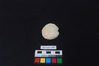 藏品(貝刮器)的圖片