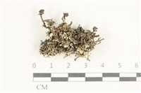 館藏編號:L00000292的藏品圖